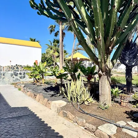 First * קלטה דה פוסטה