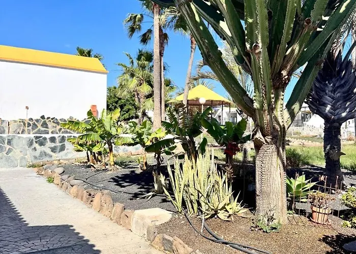 First * كاليتا ذي فوستي